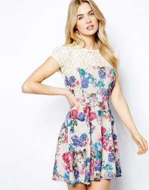 Короткое приталенное платье в цветочек с кружевом Lydia Bright. Цвет: кремовый цветочный