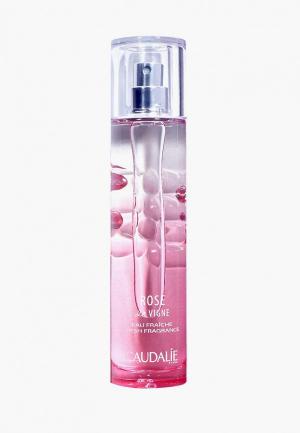 Спрей для тела Caudalie «ROSE DE VIGNE», 50 мл. Цвет: розовый