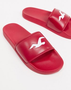 Красные шлепанцы с логотипом -Красный Hollister