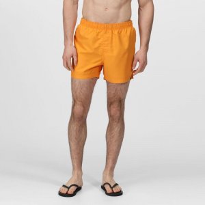 Мужские шорты для плавания Wayde - оранжевый REGATTA, цвет orange Regatta