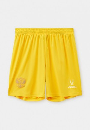 Шорты спортивные Jogel NATIONAL PerFormDRY GK Shorts. Цвет: желтый