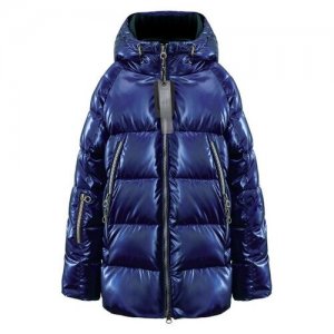 Куртка PUFWB-026-10100-317 (Синий, Мальчик, 5 лет / 110 см, 30) PULKA. Цвет: синий