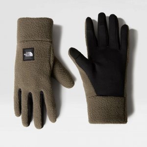 Перчатки Fleeski Etip Glove New Taupe Green The North Face. Цвет: коричневый
