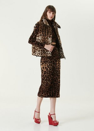 Юбка-миди с леопардовым узором и тесьмой логотипом Dolce&Gabbana