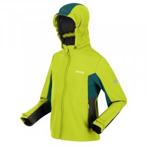 Прогулочная куртка из софтшелла Acidity V Kids на молнии - зеленый REGATTA, цвет blau Regatta