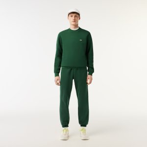 Спортивная одежда Мужские спортивные брюки Lacoste. Цвет: зелёный