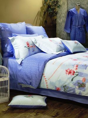 Комплект постельного белья 1,5 спальный Романтик ARTILIVI. Цвет: белый, голубой