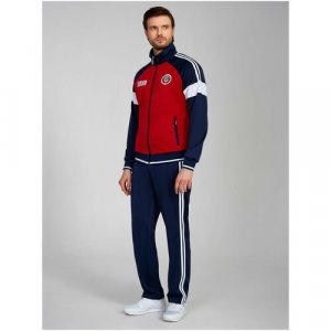 Костюм , олимпийка и брюки, силуэт прямой, карманы, подкладка, размер 46, красный Addic. Цвет: красный