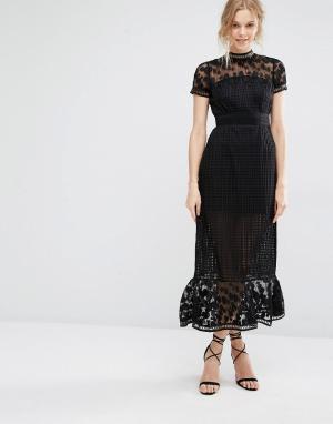 Платье миди с ажурным кружевом Elodie Foxiedox. Цвет: черный