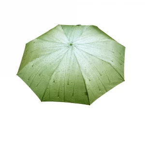 Зонт складной женский автоматический RD0523825 серо-зеленый Raindrops