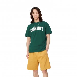 S/S University T-Shirt CARHARTT. Цвет: none