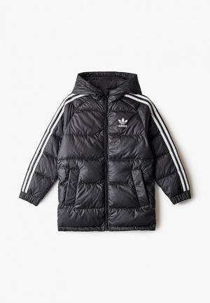 Пуховик adidas Originals DOWN JACKET. Цвет: черный