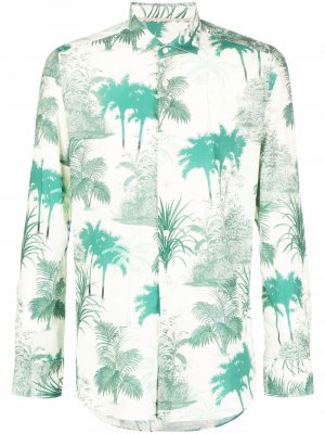 Tree-print shirt Tintoria Mattei. Цвет: зеленый