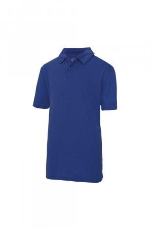 Спортивная однотонная рубашка-поло (2 шт.) , синий Just Cool