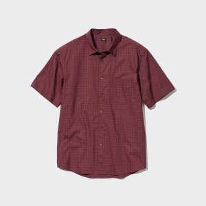 Рубашка UNIQLO с короткими рукавами в горошек, бордовый