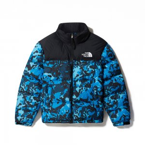 Пуховик the north face мужская зимняя скидки распродажа