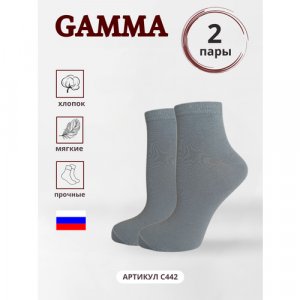 Носки, 2 пары, размер 25-27(40-41)), серый ГАММА. Цвет: серый