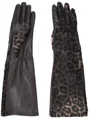 Перчатки с леопардовым принтом Perrin Paris. Цвет: чёрный