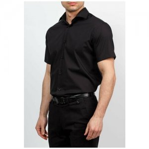 Рубашка , размер 174-184/37, черный GREG. Цвет: черный