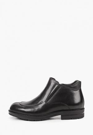 Ботинки Marco Lippi. Цвет: черный