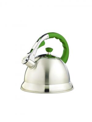 Чайник  TECO 106G-TC. Цвет: зеленый, серебристый