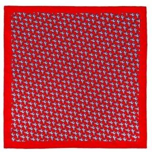 Карманный платок цвет Красный GREG