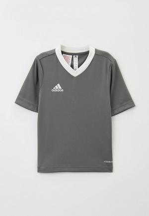 Футболка спортивная adidas ENT22 JSY Y. Цвет: серый