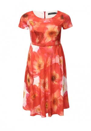 Платье Bestia Donna. Цвет: оранжевый
