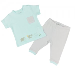 Комплект для мальчика AndyWawa серия Hippo футболка и штаны мятный/серый, размер 56-62 Andy Wawa. Цвет: голубой/зеленый/серый
