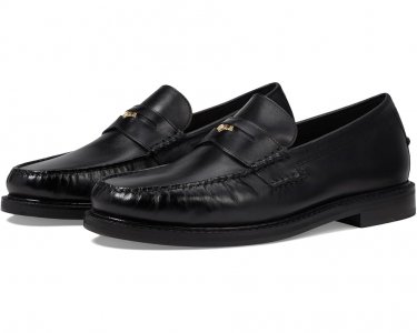 Лоферы American Classics Pinch Penny Loafer, черный Cole Haan