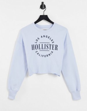 Синий свитер с круглым логотипом -Голубой Hollister