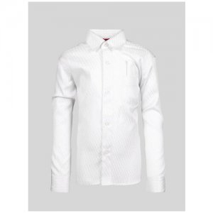 Рубашка дошкольная Blanch размер:(116-122) Imperator. Цвет: белый