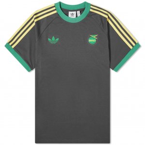 Футболка Jamaica JFF 3 Stripe, темно-серый/мультиколор Adidas