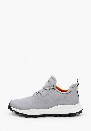 Кроссовки Timberland Brooklyn Fabric Oxford SLEET. Цвет: серый