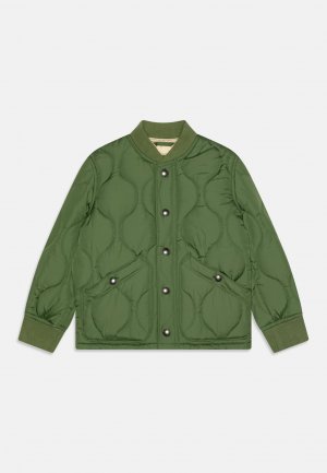 Зимняя куртка BOYS , цвет foliage green GAP