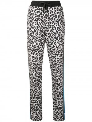 Спортивные брюки с леопардовым принтом Dolce & Gabbana. Цвет: черный