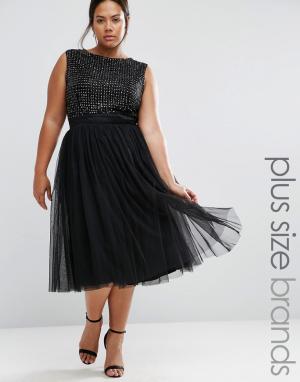 Платье миди с декоративной отделкой и тюлевой юбкой Lovedrobe Luxe. Цвет: черный