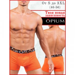 Трусы , размер XXL, оранжевый, бесцветный Opium. Цвет: оранжевый