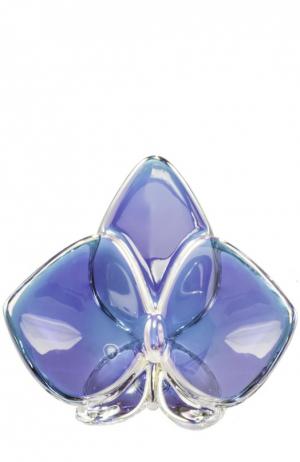 Орхидея голубая Orchid Baccarat. Цвет: бесцветный