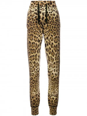 Спортивные брюки с леопардовым принтом Dolce & Gabbana. Цвет: коричневый