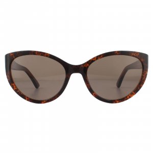 Оранжево-коричневые солнцезащитные очки Cat Eye Havana , коричневый Moschino