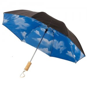 Зонт Blue skies 21 двухсекционный полуавтомат, черный Avenue