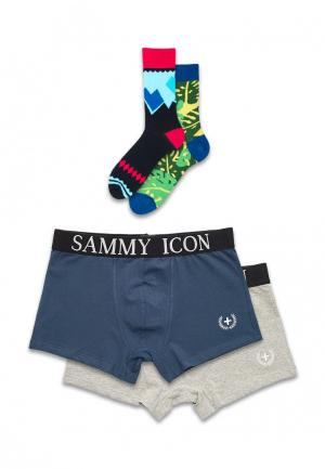 Комплект трусов и носков Sammy Icon. Цвет: разноцветный