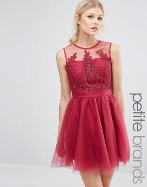 Платье мини для выпускного с пышной юбкой и вышивкой Chi London Pe Petite. Цвет: розовый