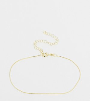 Тонкое позолоченное серебряное ожерелье-цепочка плоского плетения -Золотистый Kingsley Ryan Curve