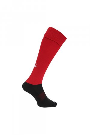 Спортивные носки для игры в регби , красный Canterbury