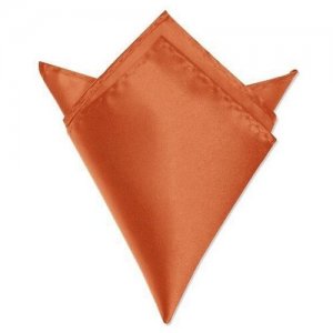 Нагрудный платок , оранжевый 2beMan. Цвет: оранжевый