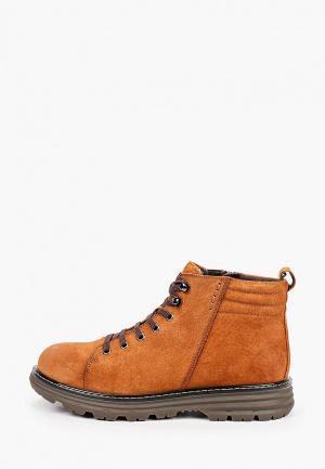 Ботинки El Tempo. Цвет: коричневый