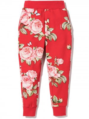 Спортивные брюки с цветочным узором Monnalisa. Цвет: красный