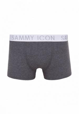 Трусы Sammy Icon. Цвет: серый